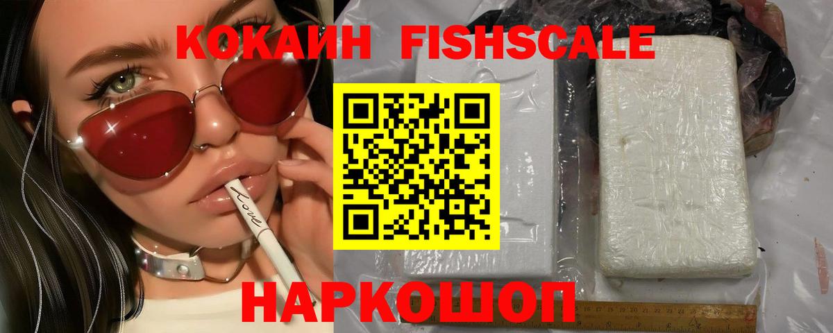 Cocaine Fish Scale  Вход с VPN  Бердск  Cocaine Fish Scale 