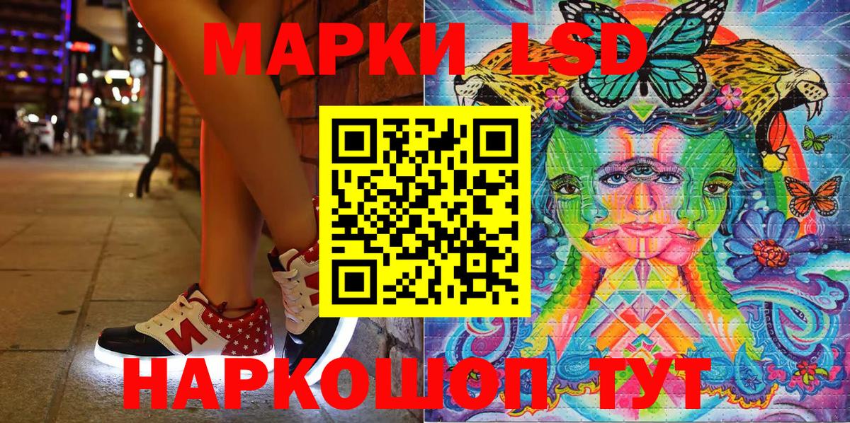 Бердск  Марки NBOMe 1,5мг  где найти наркотики  Марки 25I-NBOMe  Марки NBOMe 1,5мг  Вход с VPN 